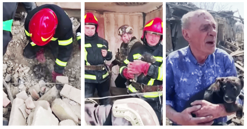 Ukrainian rescue workers save crying puppy burried under rubble, return it to 77-year-old owner