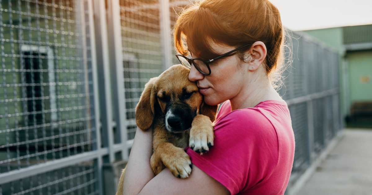 Dog left tied to fire hydrant with heartbreaking note and backpack. Shelter gives compassionate response to owner.