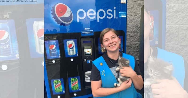 Firefighters rescued an adorable kitten from a vending machine. She's now called Pepsi.