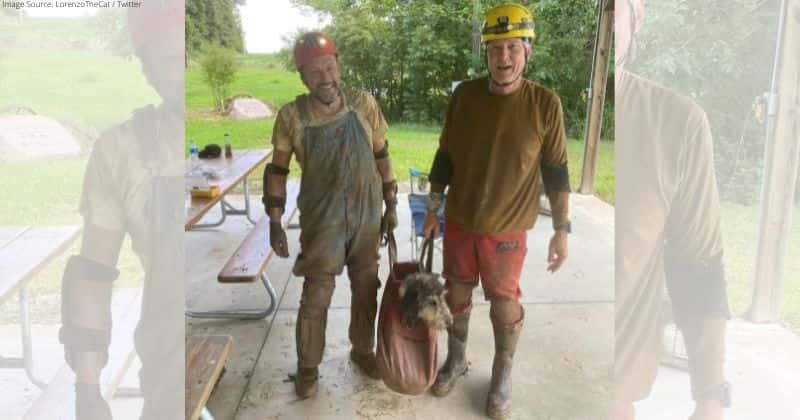 Cavers helped rescue a dog trapped 500 feet underground for two months