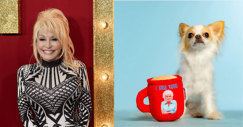 Dolly Parton launches pet apparel line 'Doggy Parton' and it is as cute as you can imagine