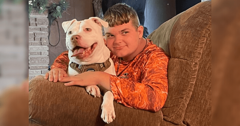 Deaf dog finds his forever home with teen who has hearing loss: 'I need him—he's my dog'