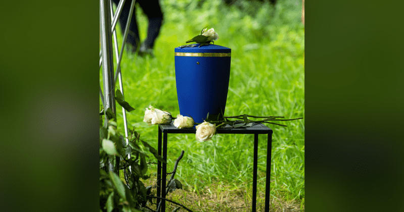 73-year-old man takes 'final trip' with his mom as he flies helicopter 3,000 miles to spread her ashes
