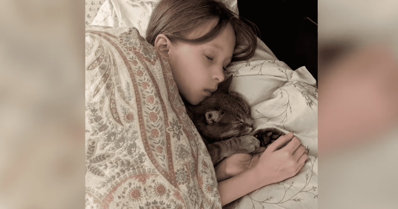 Cat travels 7,000 miles to reunite with Ukrainian girl thanks to kind strangers in five countries