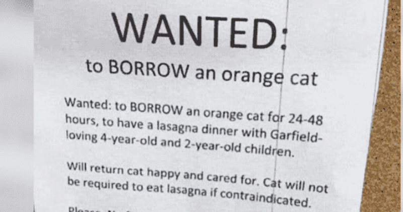 Mom posts adorable ad looking for orange cat to have a Garfield-themed lasagna party with her kids