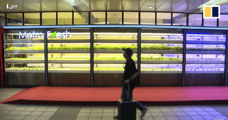Taiwan is transforming unused metro stations into underground vertical farms and they're amazing
