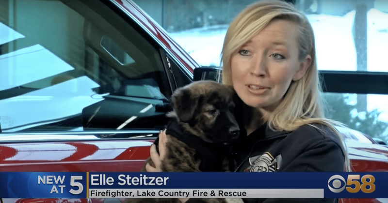 First responders adopt dogs they rescued from a plane crash: 'He fell out of the sky in front of me'
