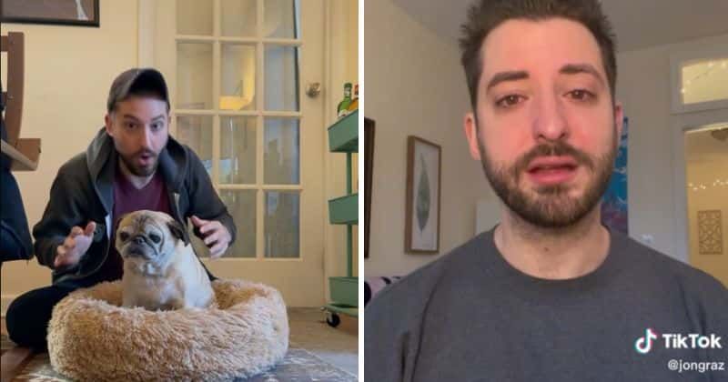 Noodle, the famous social media ‘bones or no bones’ pug has died: "He made millions of people happy"