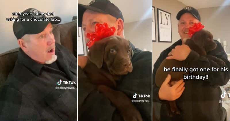 Dad's inner child comes out when he finally gets the puppy of his dreams for his birthday