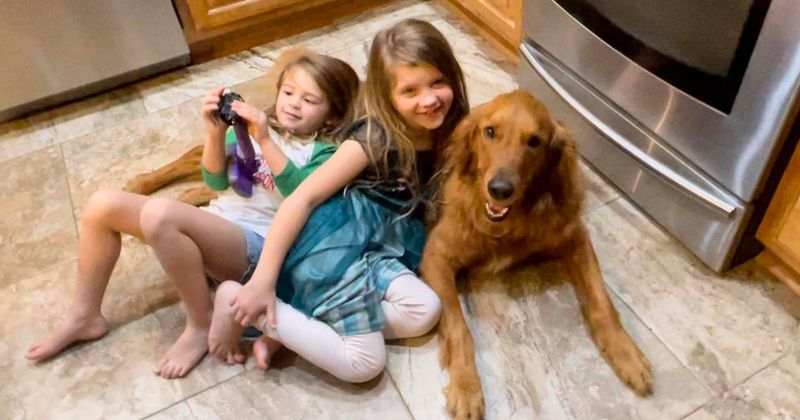 Meet the hero pup that protected two young girls and reunited them with their family