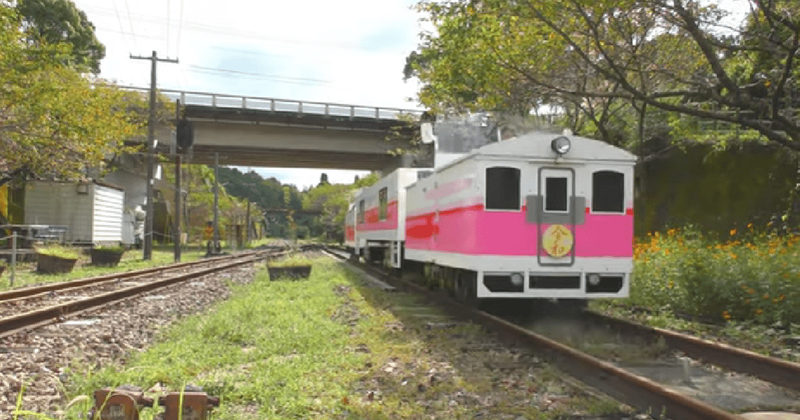 Train runs on leftover ramen broth after ditching conventional fuel 
