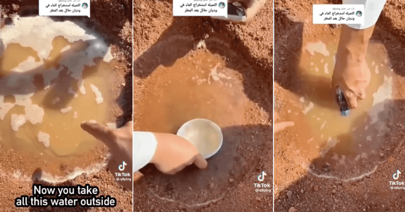 Intriguing video demonstrates how water can be filtered using just sand in the Arabian desert