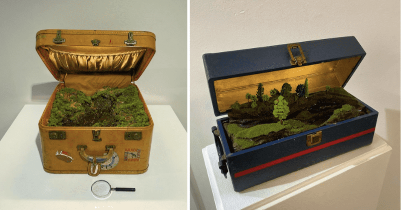 Artist creates intricate landscapes within antique suitcases and they are mindblowing
