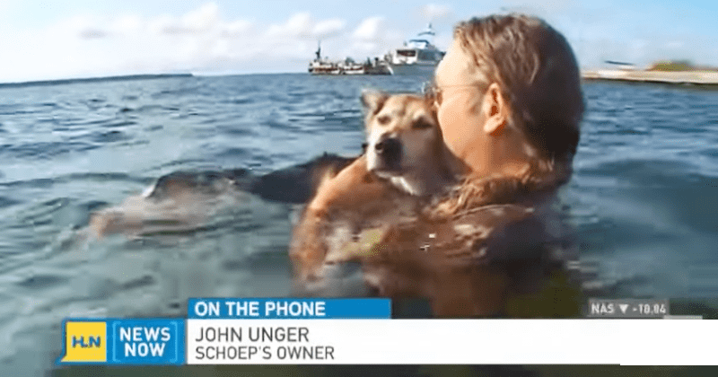The story behind this viral picture of an owner cradling his dog in the water is beautiful