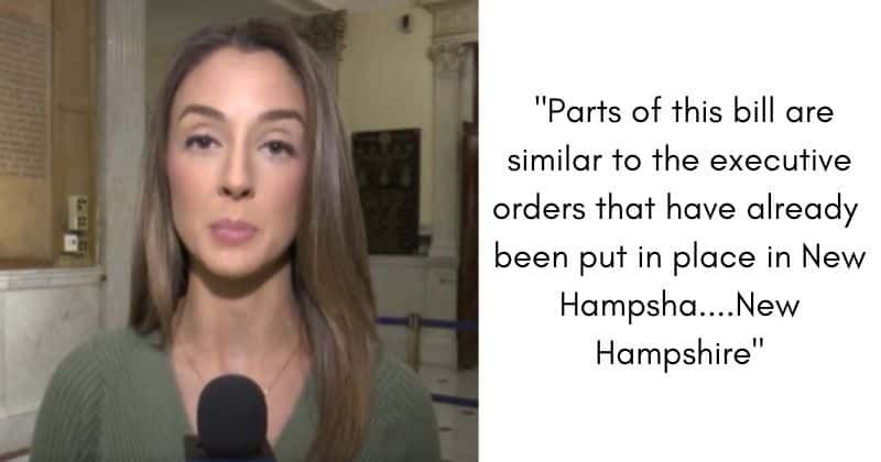 Reporter wins hearts as her Boston accent slips out during serious reporting: 'When you least expect it'