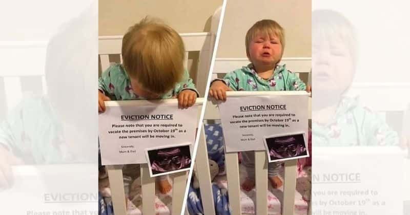 Toddler gets 'evicted' from crib in hilarious photo as parents announce pregnancy