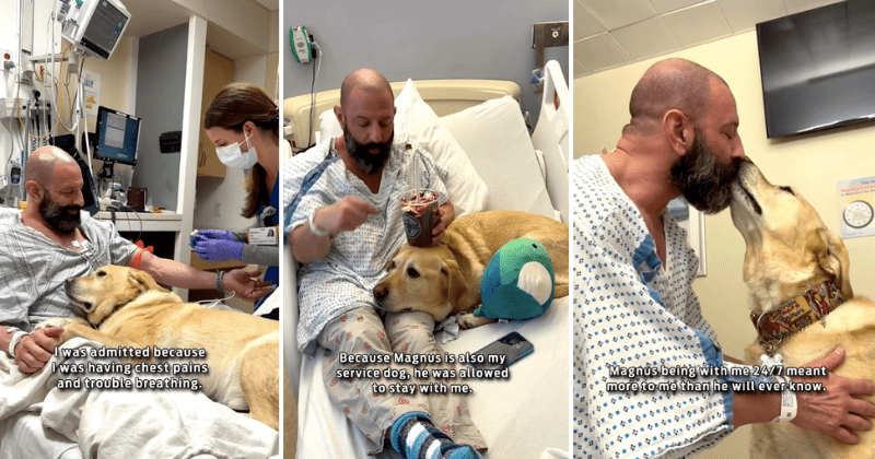 Service dog refuses to leave man's side during his hospital stay. No one else was allowed to stay