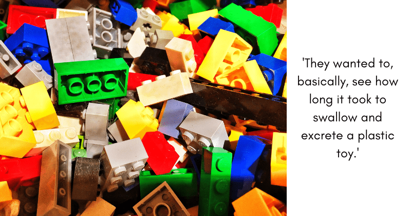6 scientists swallowed legos to find out if parents really need to worry about small plastic toys