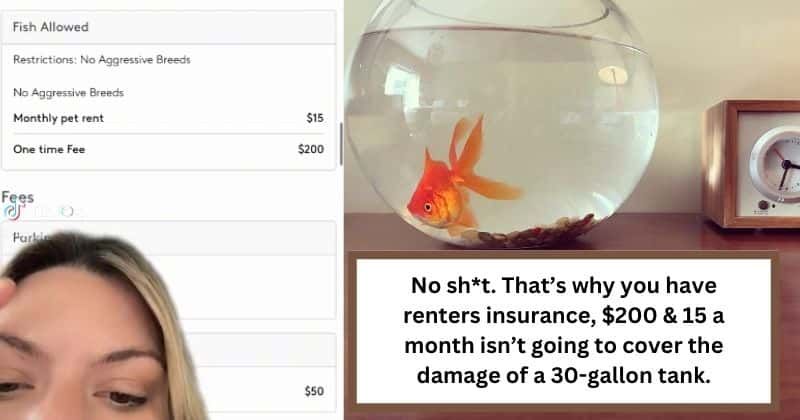 Woman left speechless after landlord charges $200 goldfish fee and a monthly ‘pet rent’ of $15