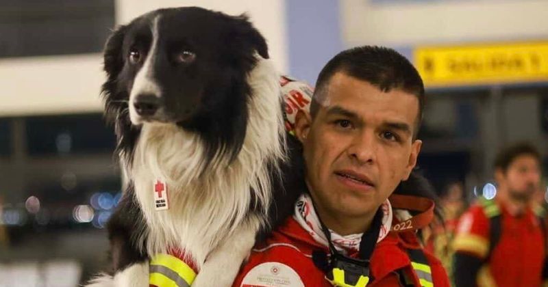 Mexico's famous search and rescue dogs deployed to help Turkey's earthquake victims