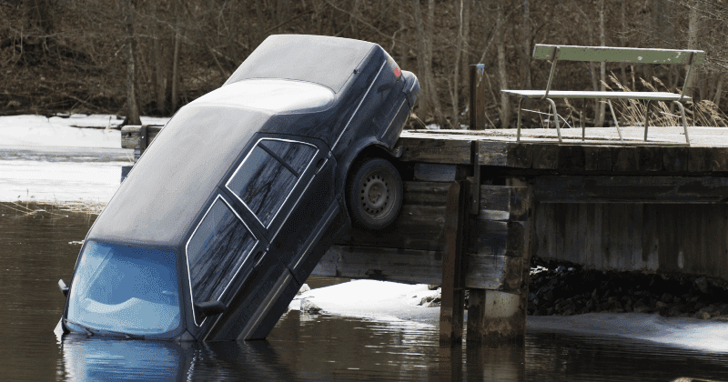 Teen rescues an 83-year-old man and his dog after their car plunges into icy lake