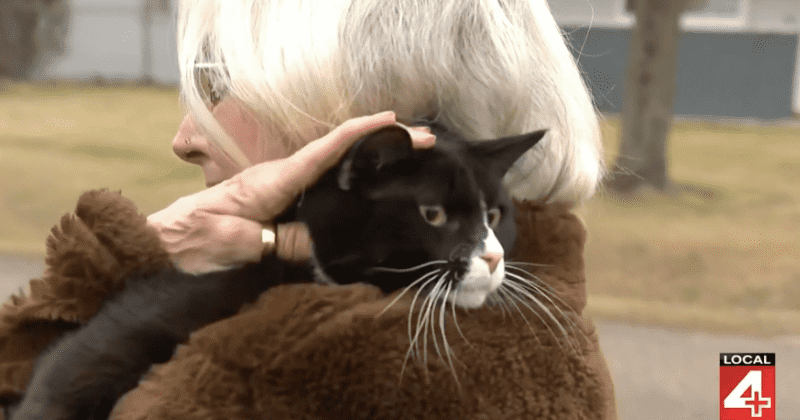 Woman returns a lost cat to his owner about 600 miles away: 'It was really good for my soul'