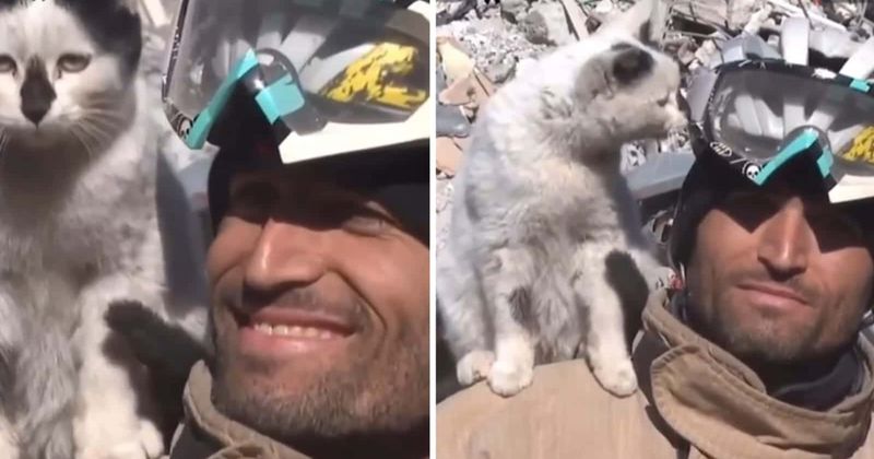 Cat refuses to leave man's side after he rescued it from under the earthquake rubble in Turkey
