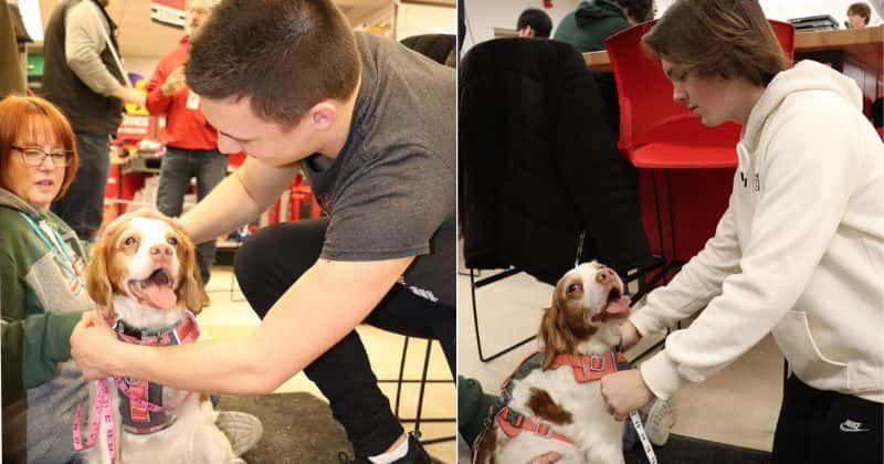 High school students find ingenious way to help a 3-legged dog to walk again