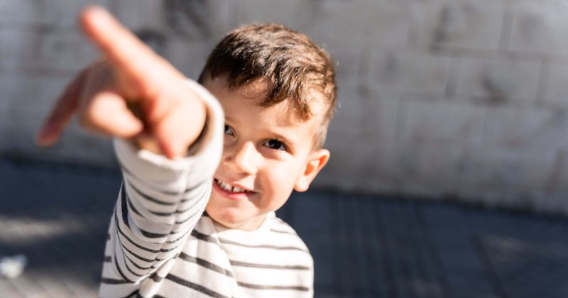 Toddler helps officers to find fugitive's hiding spot: 'Very brave and honest'