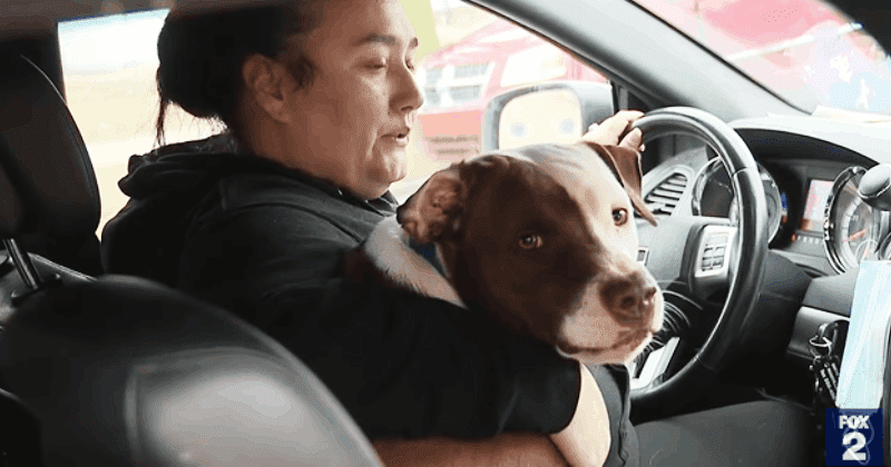 Heroic dog saves baby from burning home after refusing to leave her side until help arrived