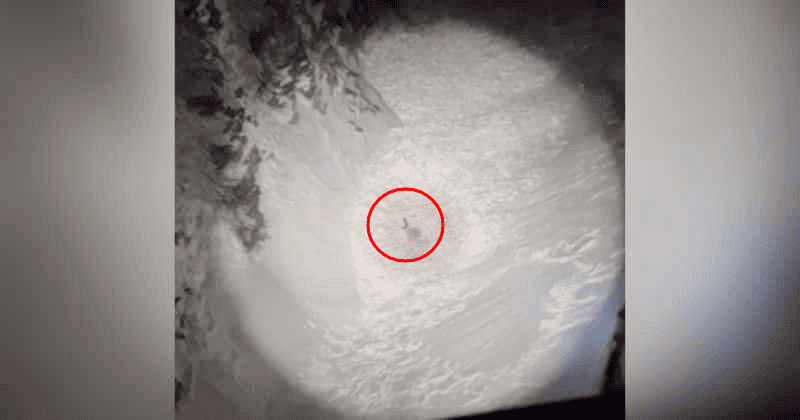 Hawk-eyed helicopter rescue team spots hiker buried up to neck and waving his hands for help