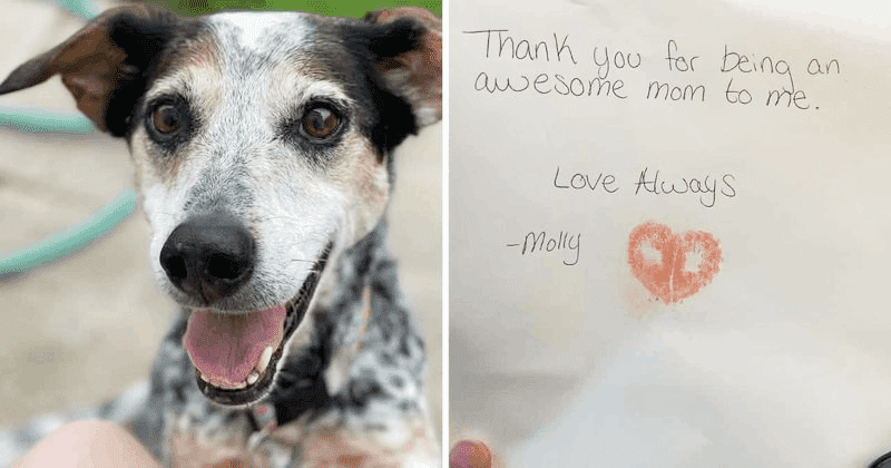 Woman gets emotional on seeing Chick-fil-A's beautiful gift honoring her late dog: 'I started crying'