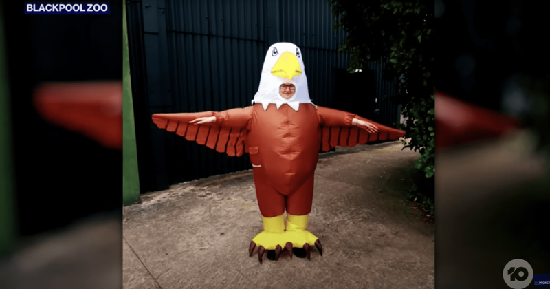 Blackpool Zoo is recruiting people to dress up as 'seagull deterrents'