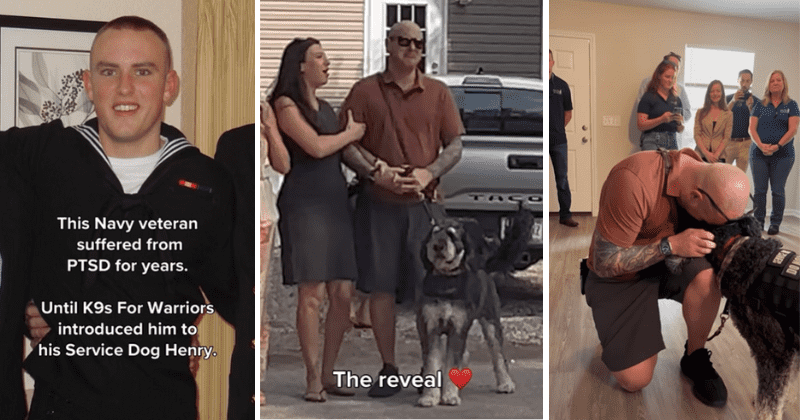 Dog helps save veteran with PTSD who thought he was 'just broken': 'He is my soul dog'