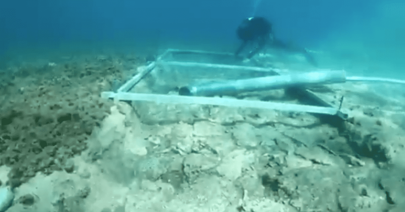 Archaeologists discover a mysterious 7,000-year-old stone road at the bottom of the ocean