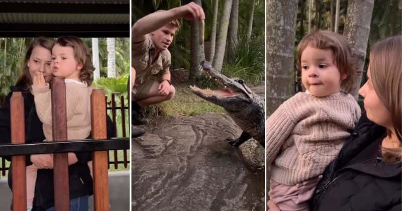 Steve Irwin's granddaughter is continuing his legacy through her keen interest in the wildlife