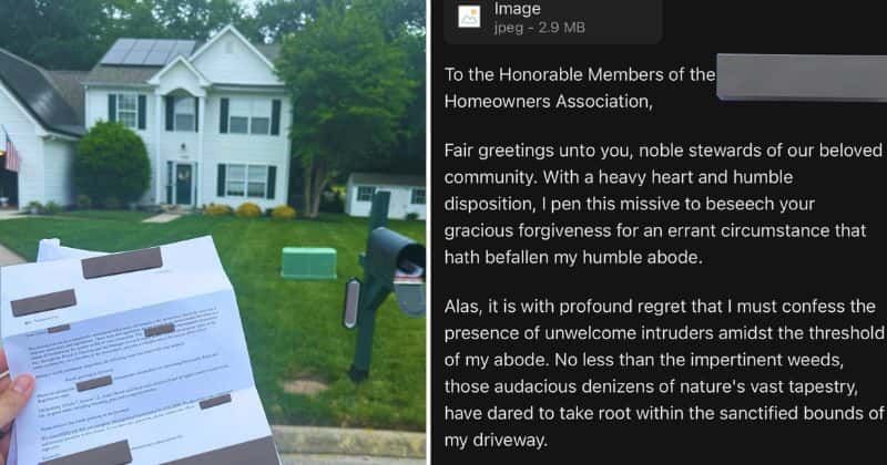 Man hilariously asked AI to write a 'Shakespearean' response to neighbors complaint 