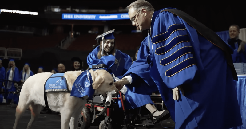 Service dog receives honorary diploma for attending classes with his human: 'He looked proud'