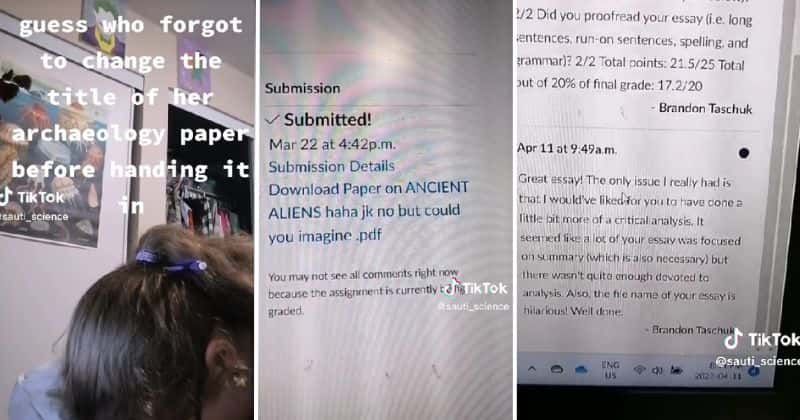 People share their academic blunders to console student who submitted a hilariously titled paper
