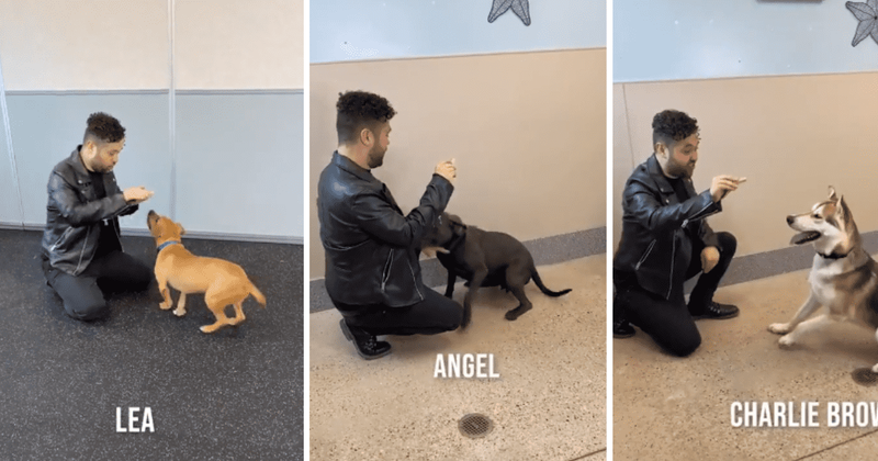 Magician performs adorable tricks with dogs to help them get adopted swiftly: 'A special moment'
