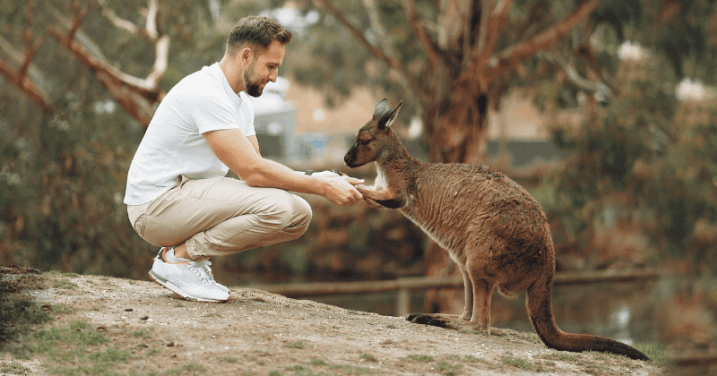 American tourist pushing away 'frisky' kangaroo in hilarious video has people in splits