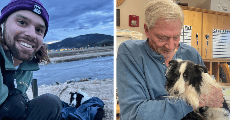 Man's dog ran away to the Rocky Mountains after his wife died. A hiker found him after 5 weeks