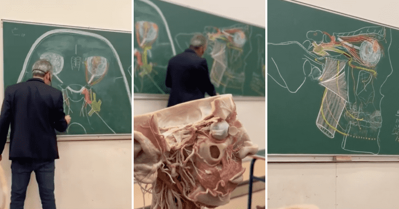 Professor stuns students by drawing incredibly precise illustrations of human anatomy