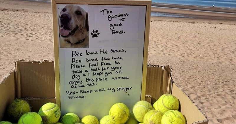 Dog owner leaves box of free tennis balls at the beach as tribute to his dog: 'Goodest of good boy'
