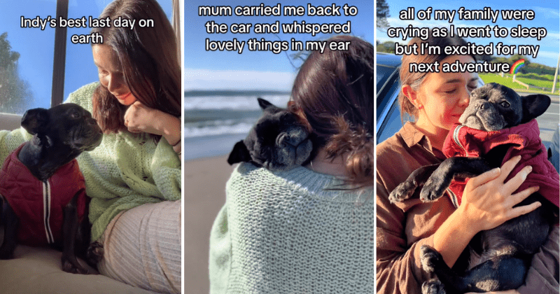 Woman shares her dog's final moments while giving her the 'best last day on Earth'