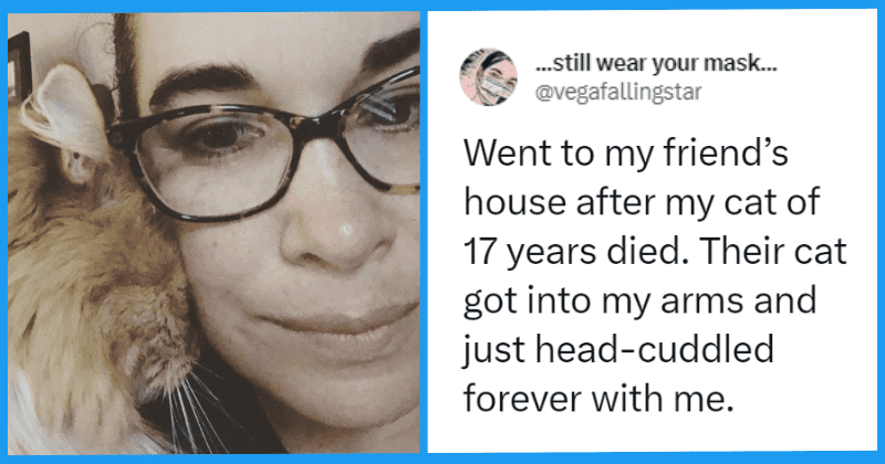 25 times pets proved that they provide the best emotional support to their owners