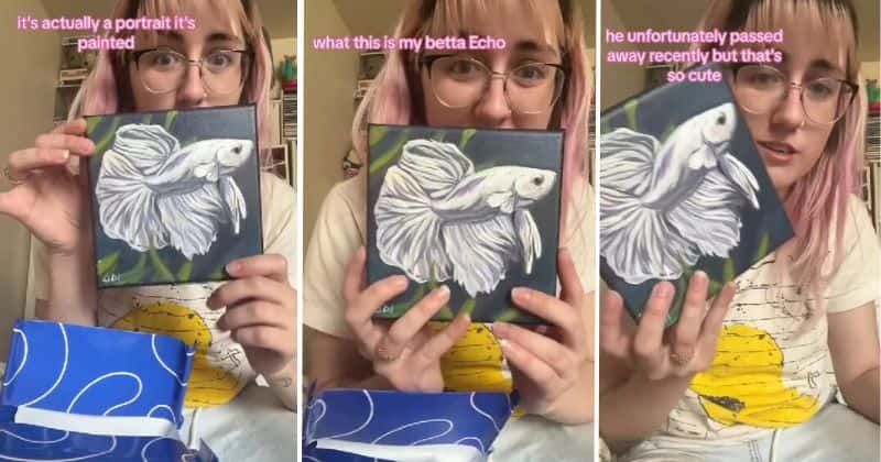 Pet food company surprises woman who lost her pet beta fish with a special surprise gift: 'So cute'