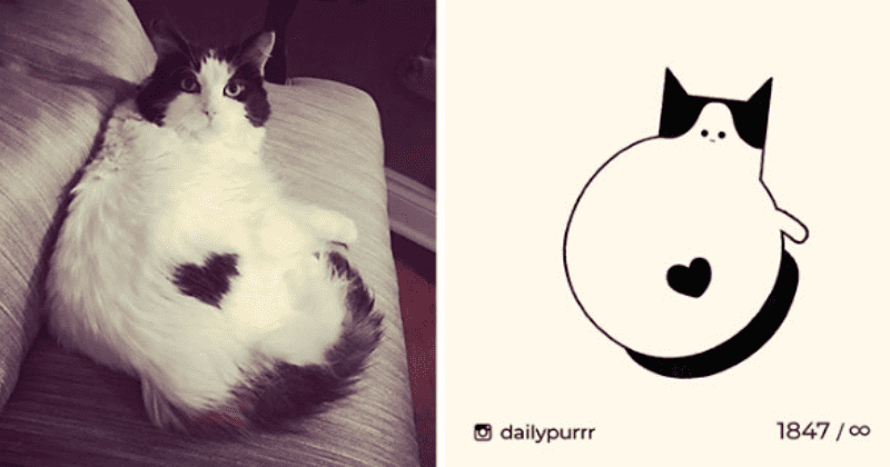 25 amusing and creative cat doodles that highlight the personality of these animals