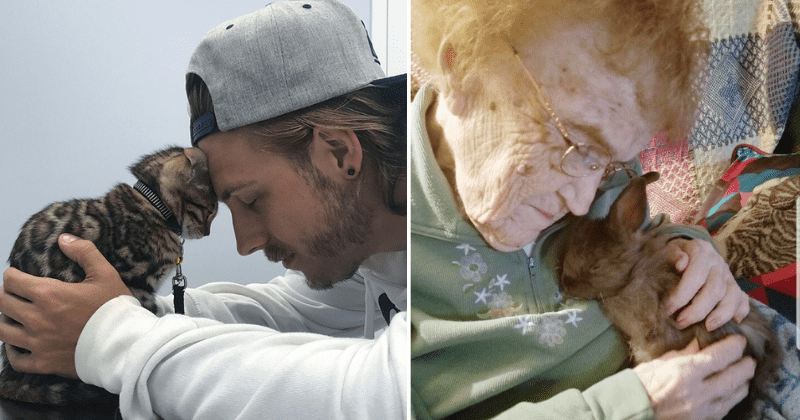 25 wholesome photos that show we don't deserve animals and the love they bring into our lives