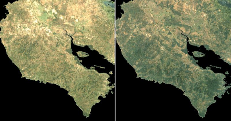 Costa Rica's stunning and gradual reforestation since 1987 gives hope to the world